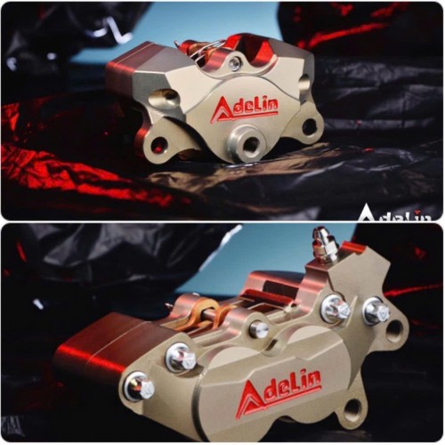 HEO ADELIN BILLET 2PIS/4PIS  ANODE ĐỐI XỨNG